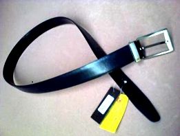 Reversible Belt