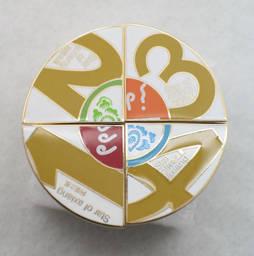 Fashionable Puzzle Enamel Label Pin