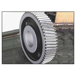 Gears - Superior Grade Raw Materials, Corrosion Resistant , Robust Design and Dimensionally Precise