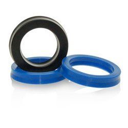 Hydraulic And Pneumatic Seal