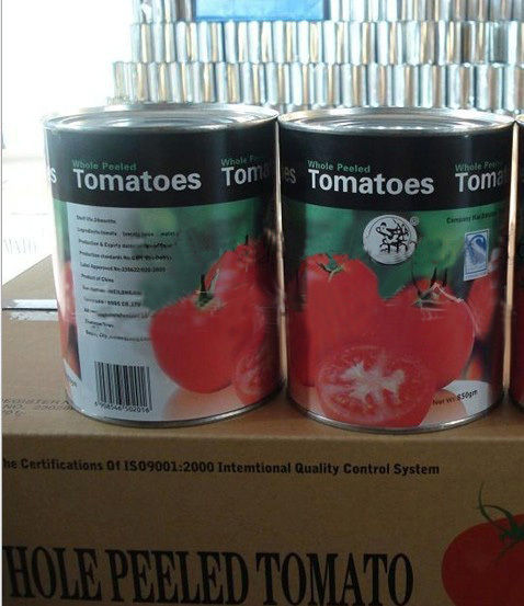 Tomato Paste