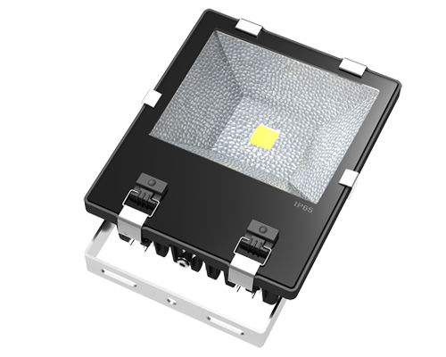 Led Flood Lights 100W Use: Educational