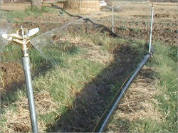 Irrigation Tubes
