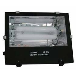 Flood Lamp (SEL-FL202-80W)