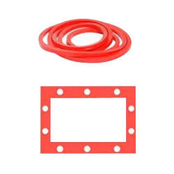 Autoclave And Door Gasket