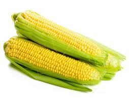 Fresh Corn