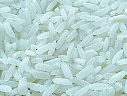 White Rice