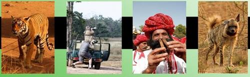 8 डेज़ वाइल्ड्स ऑफ़ राजस्थान और द ताज टूर सर्विस