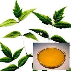 Neem Oil - Pure Vegetable Extract | Medicinal, Insecticidal, Moisturizing, and Effective for Enhanced Applications