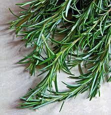 Pure Rosemary Oil