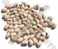  Pigeon Peas