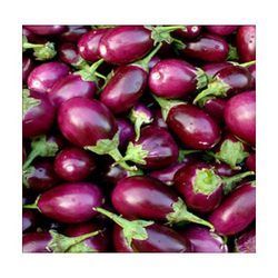 Brinjal