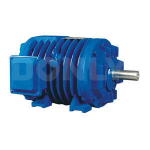 Roller Table Ac Induction Motors