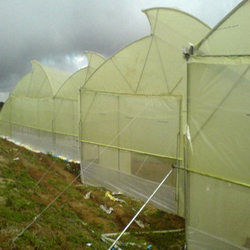 Naturally Ventilated Greenhouse