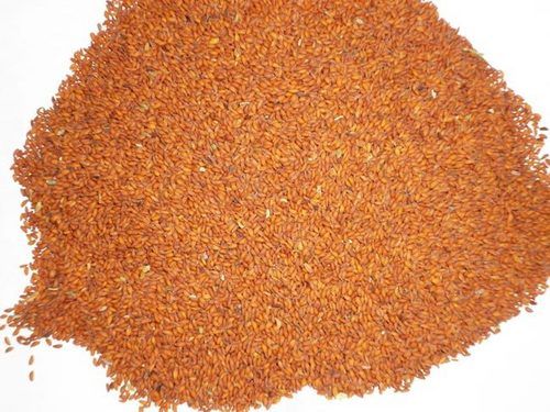 Asaliya Seeds - Premium Quality Herbal Feed Ingredient | Ideal for Cattle Nutrition and Ayurvedic Remedies