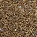 Cumin Seeds - Premium Quality Whole Seeds | Cleaning and Colour Sorting Services Included