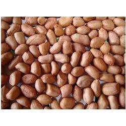 Groundnuts Kernel