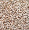 Natural Sesame Seeds