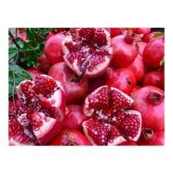 Red Pomegranates