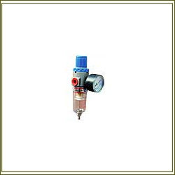 Filter Regulator With Gauge And Guard