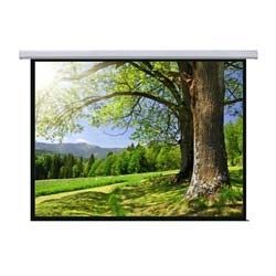 Motorized Projector Screen