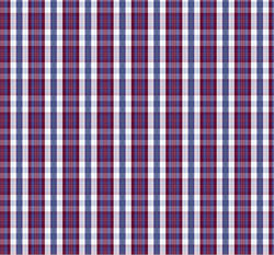 Durable Check Fabric