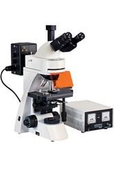 Fluorescence Stereo Microscope