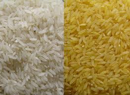 American Rice