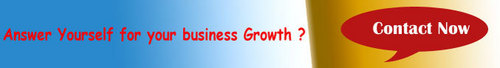SEO For Your Business