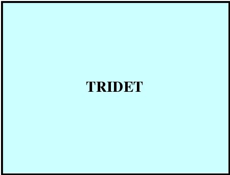 Tridet Chemicals