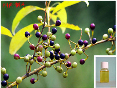 Litsea Cubeba Oil