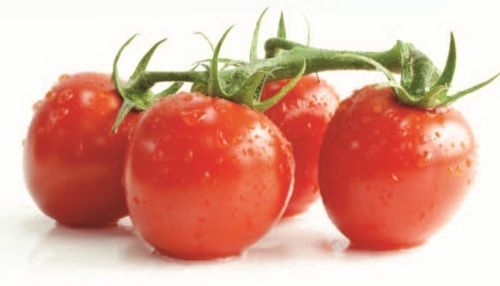 Tomato Paste (H.B)