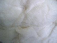Pneumafil (Polyester And Cotton Mixed) (PSFC-916)