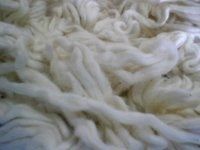 Roving (Cotton) (PSFC-993)
