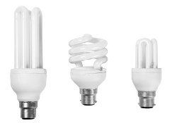 CFL Bulbs