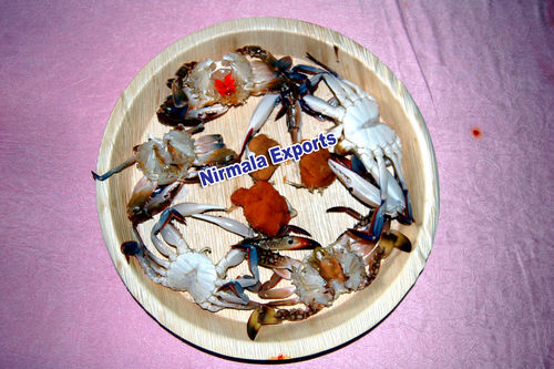 Weddings Disposable Platters