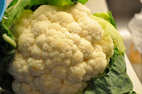 Cauliflower Food Flavour