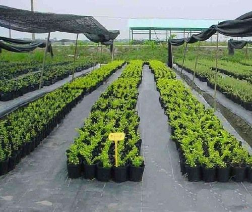 Ground Cover Fabric