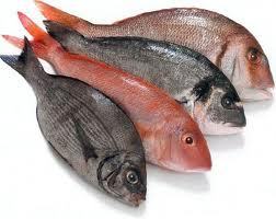 Hydrolysed Animal Protein (Fish)