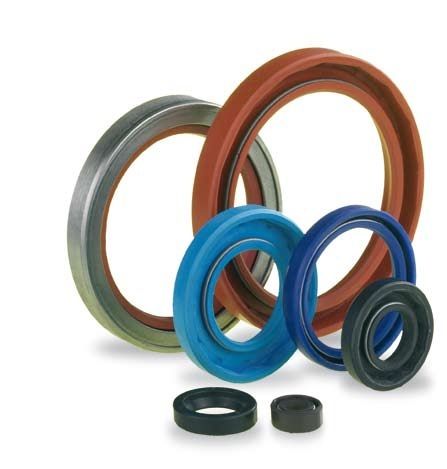 Oil Seal