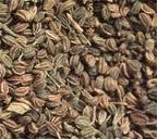 Celery Seed