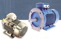 TEFC Three Phase A.C. Induction Motor