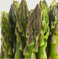 Asparagus Extract By Kingherbs Limited