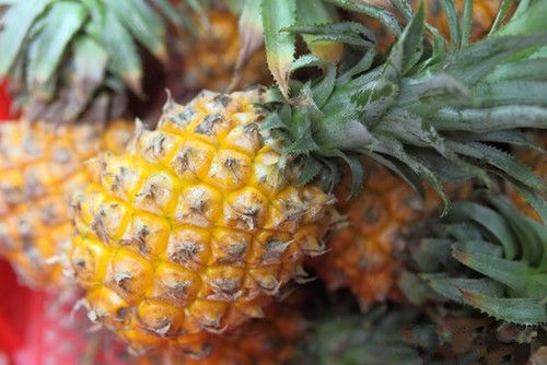 Bromelain - Pineapple Extract Standardized, Off-White to Light Yellow-Brown Powder, Soluble in Water, Characteristic Odour and Taste, Effective Protein Hydrolysis