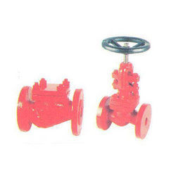 Globe Steam Stop Valve