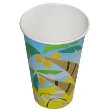 Eco-Friendly Paper Cup