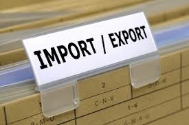 Import Export Code Registration Service By Rajasthan Shop Act Consultants & Registration Services