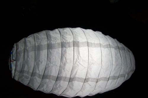 Ovel Paper Lamp