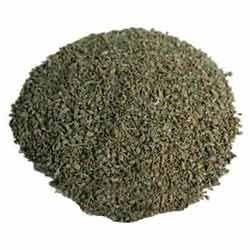 Celery Seed