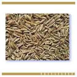 Cumin Seed